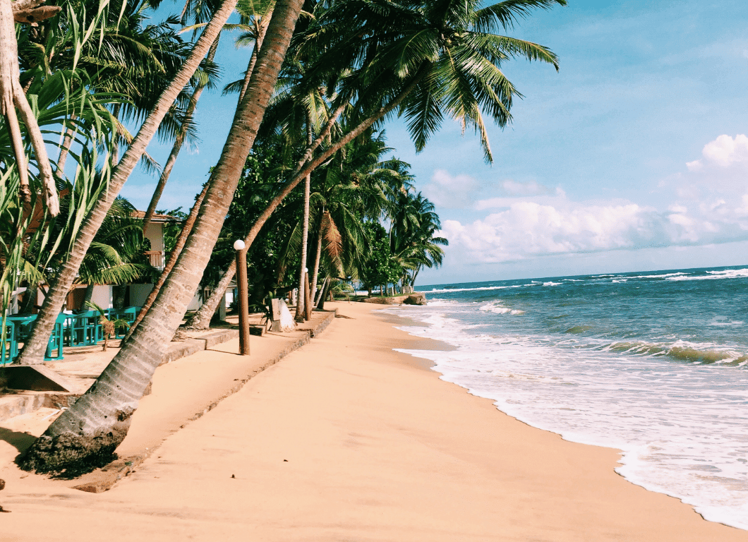 655+ Beach Captions And Quotes For Ocean Lovers