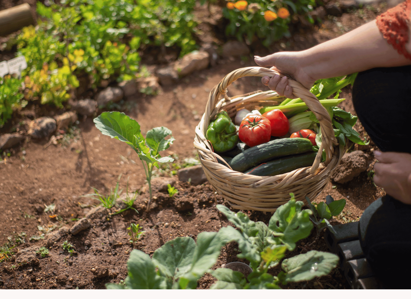 best gardening hashtags featured image