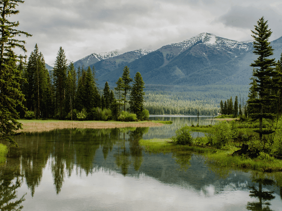 Nature Hashtags To Increase Your Instagram & TikTok Reach