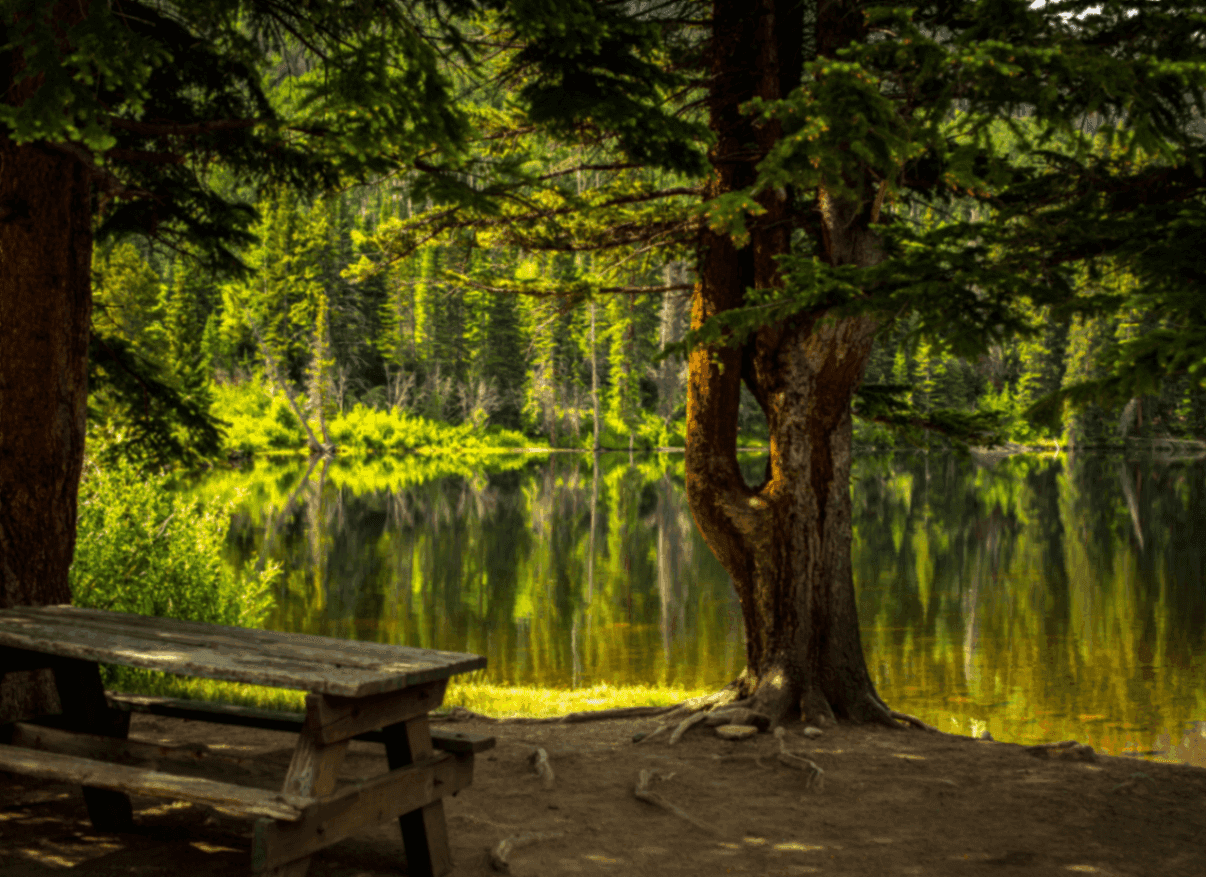 nature instagram captions featured image