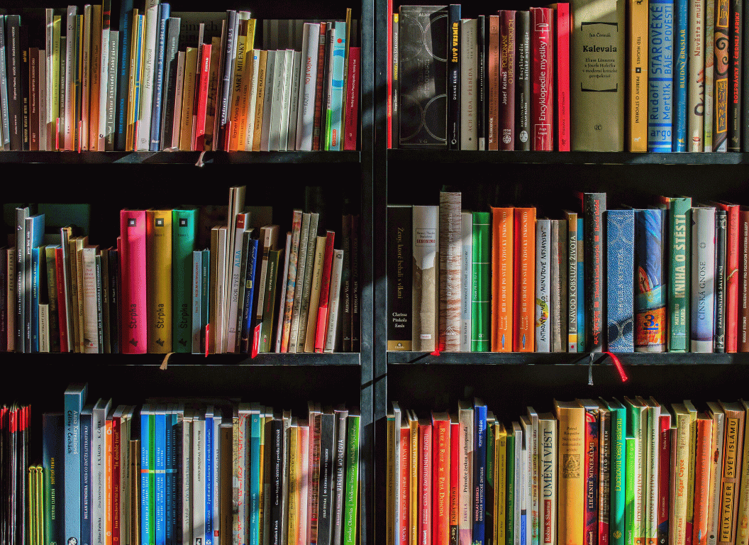 14 Ways to Grow Your Book Review Instagram & TikTok Pages