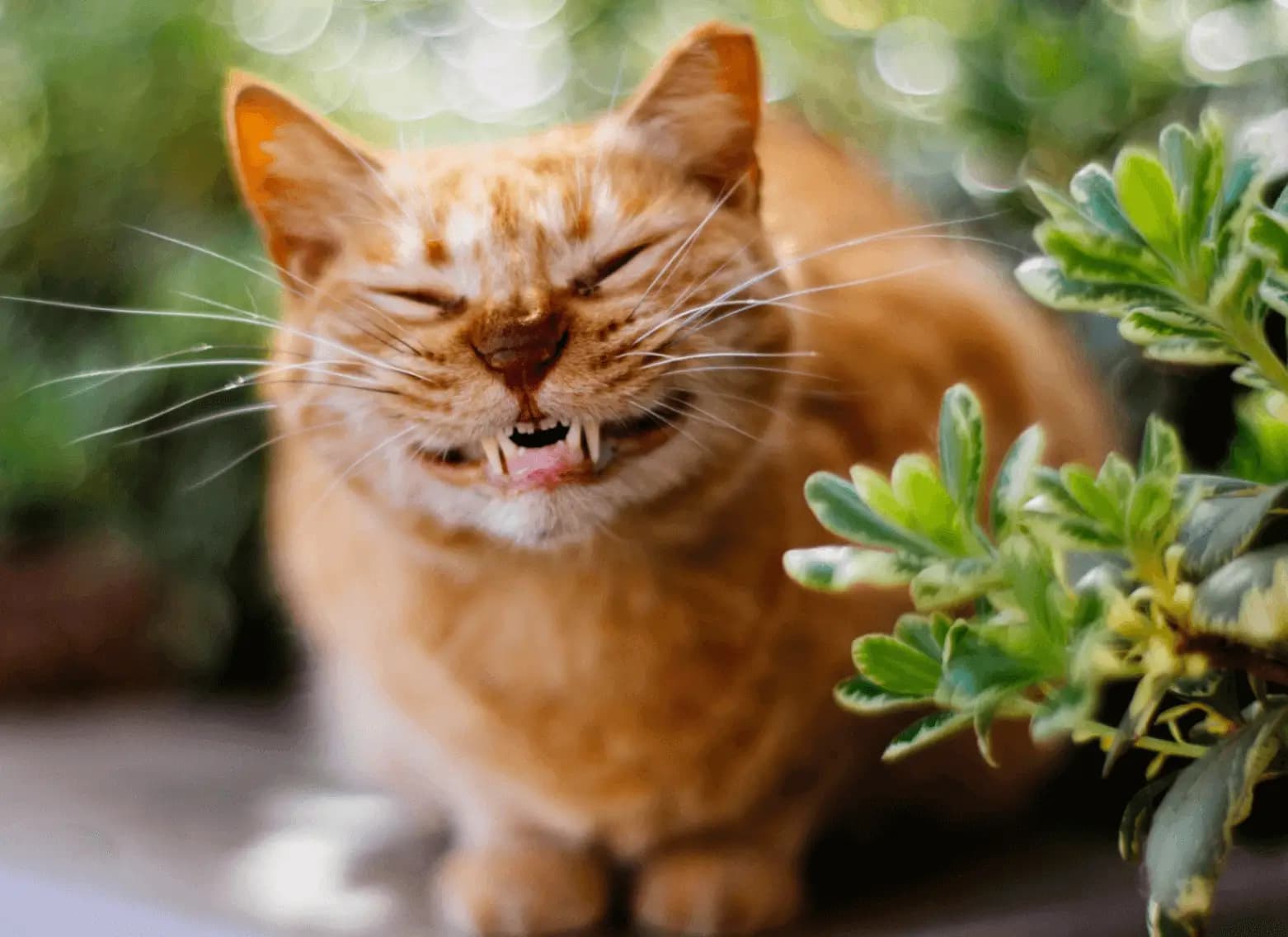 smile instagram captions featured image