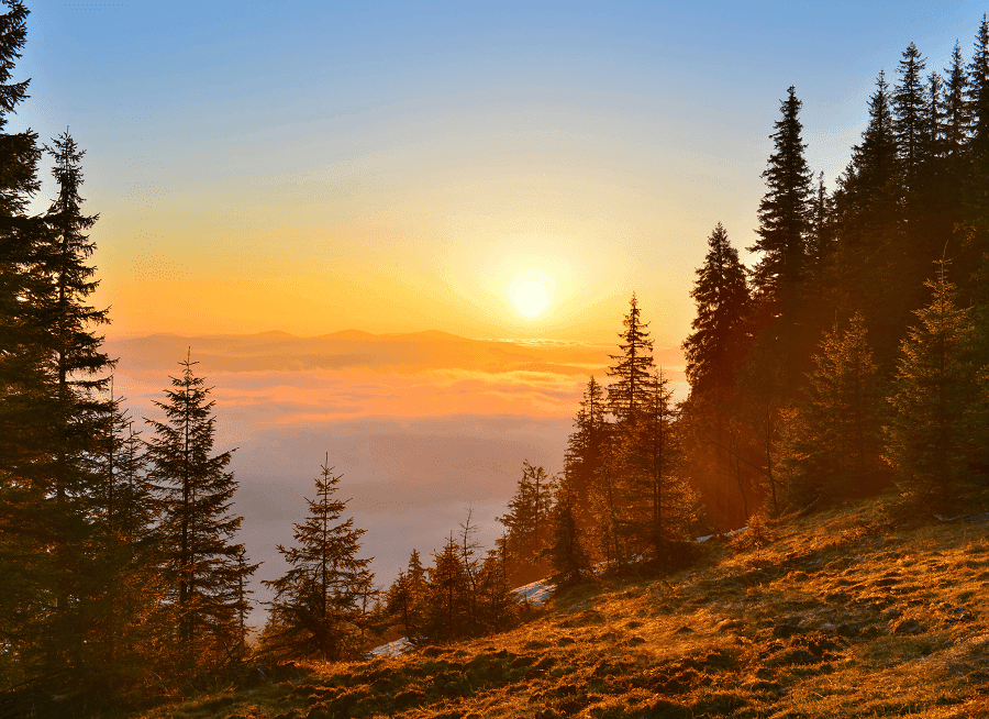 550+ Sunrise Instagram Captions to Brighten Your Day