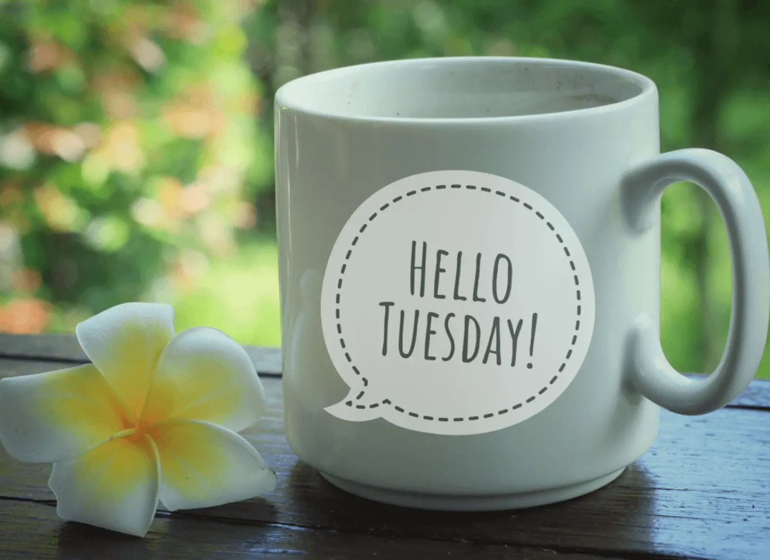 tuesday instagram captions featured image