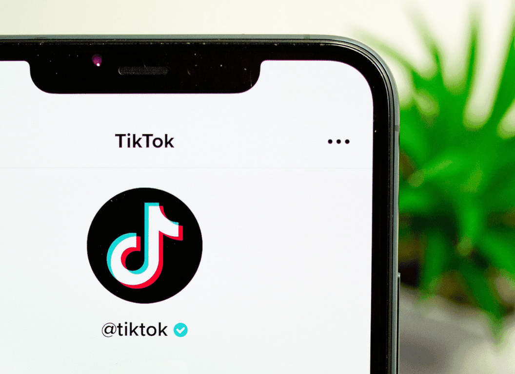 27 Effective TikTok Ad Formats For Brand Promotion