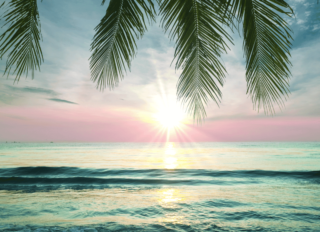 tropical captions and quotes
