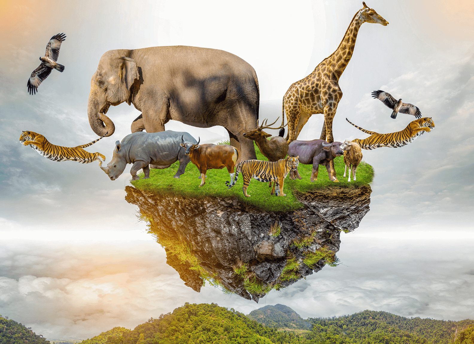 best wildlife hashtags featured image