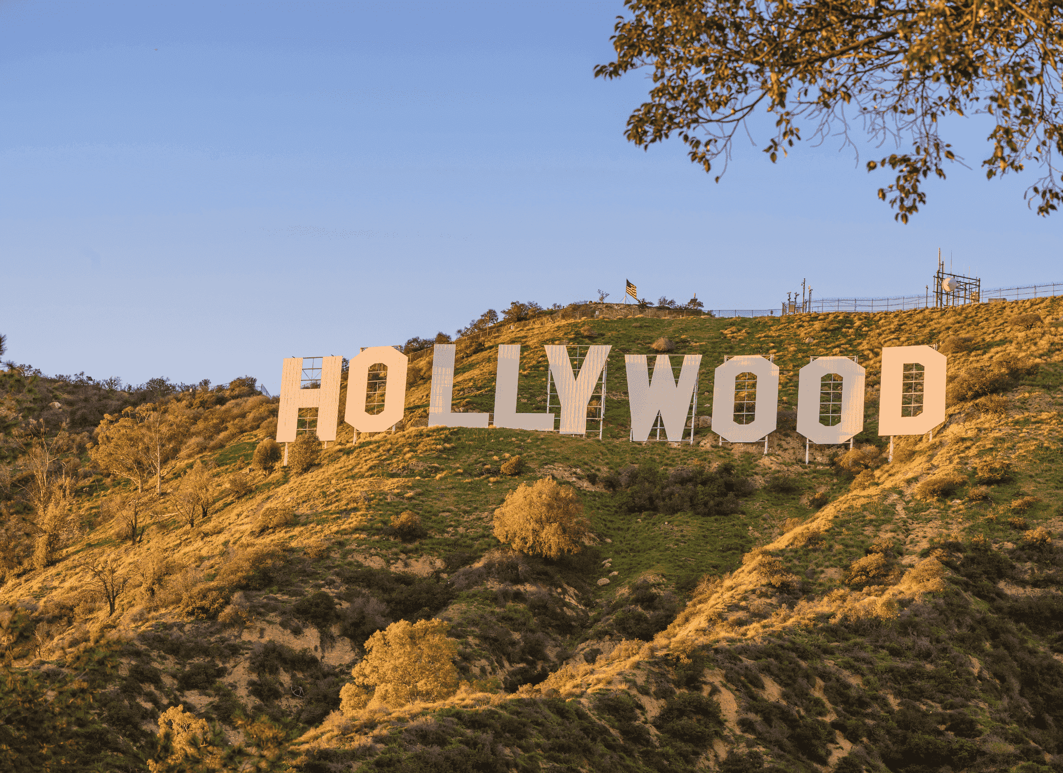 best los angeles hashtags featured image