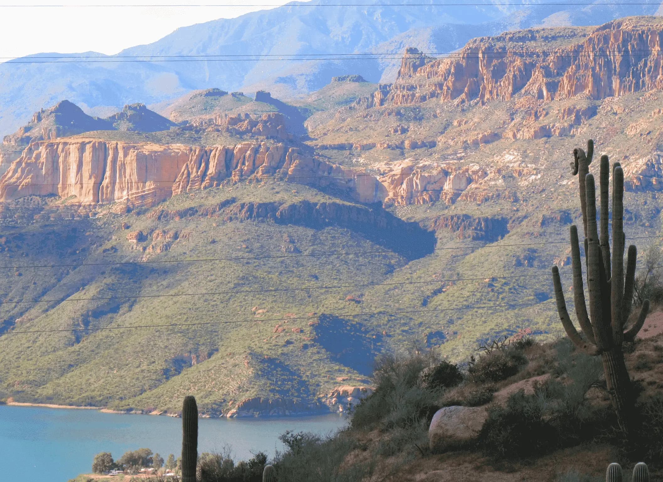 best phoenix hashtags featured image