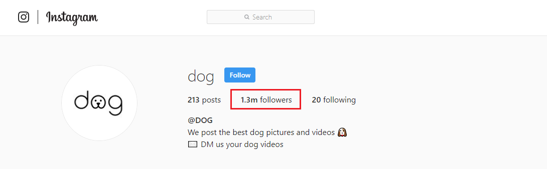 dog Instagram page and dog hashtags
