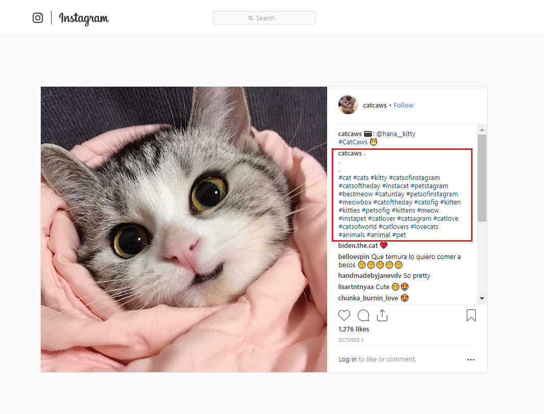 hashtags in comments cat hashtags