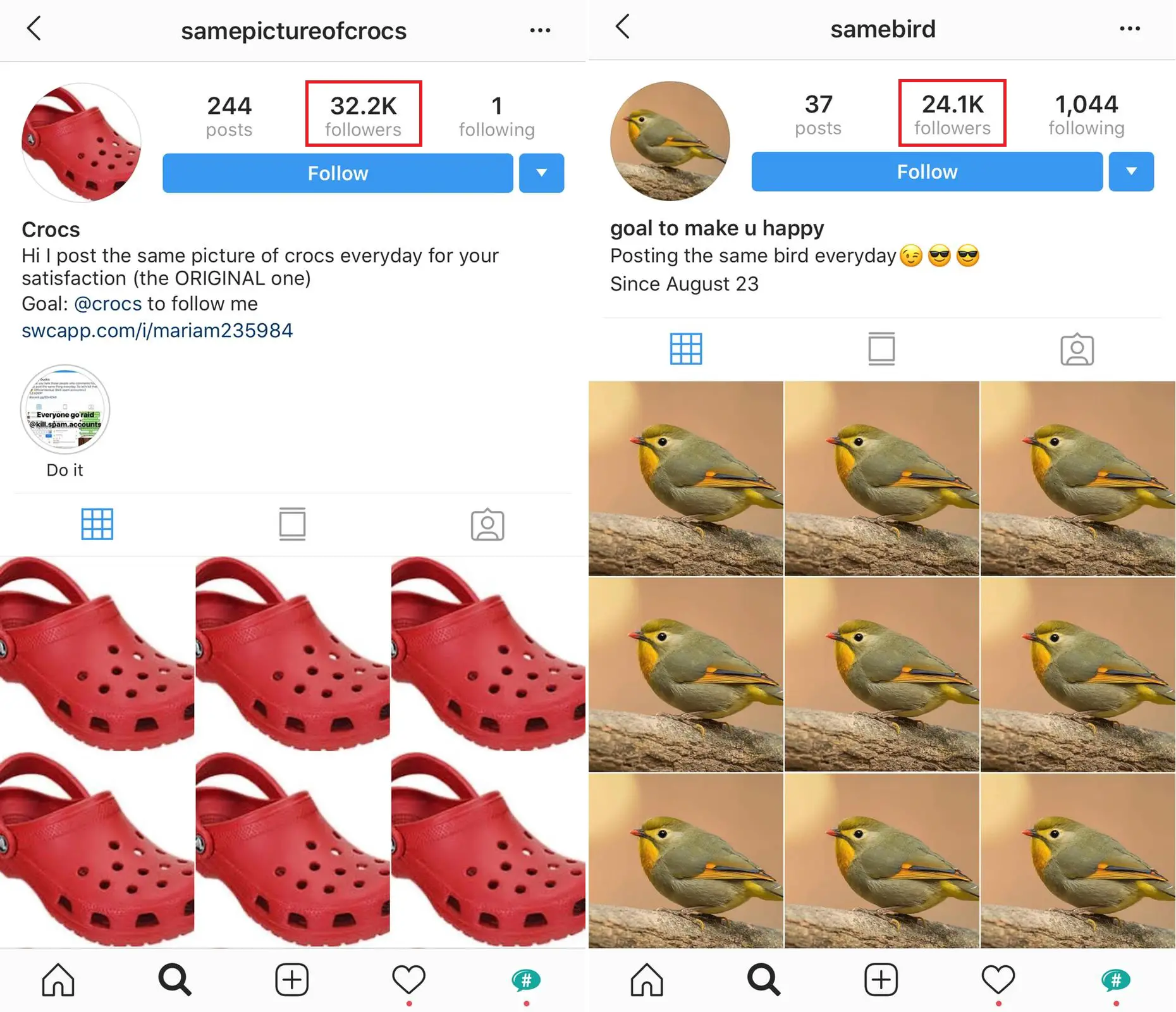 how to grow a meme page on Instagram 3