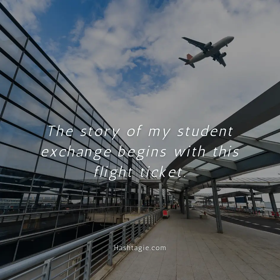 Airport captions for student exchanges example image
