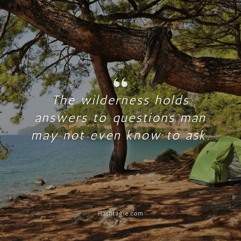 Camping in a national park captions example image