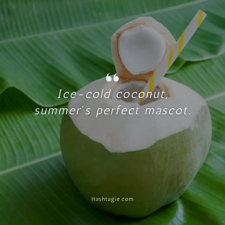 Coconut captions for summer days example image
