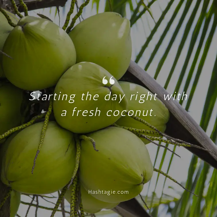 Coconut captions for tropical experience example image
