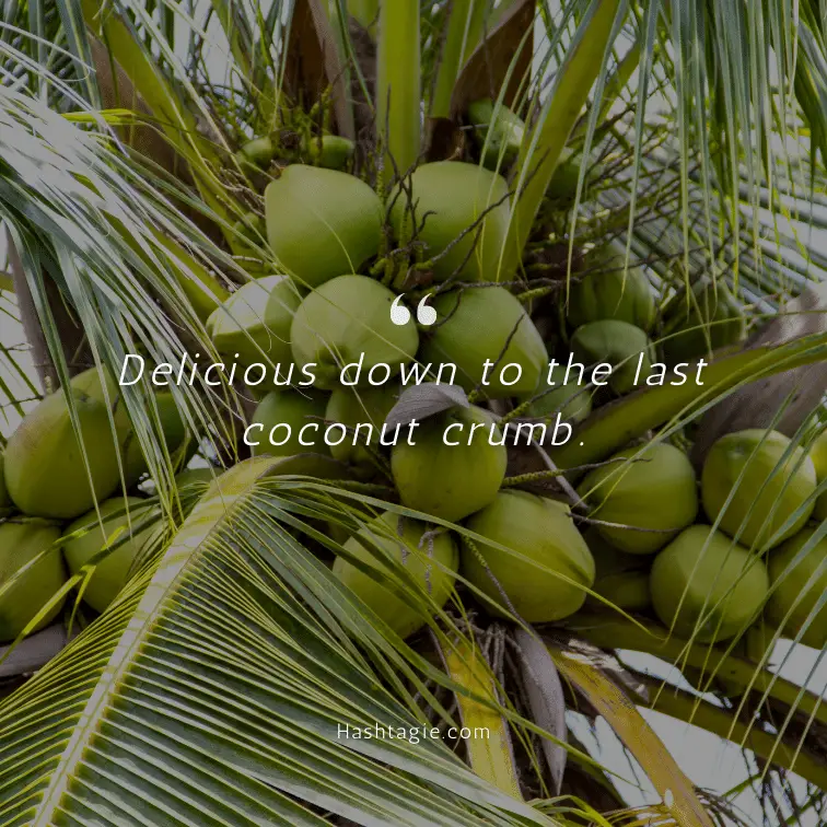 Coconut dessert captions example image
