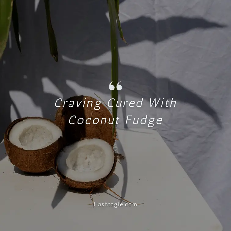 Coconut recipes captions  example image