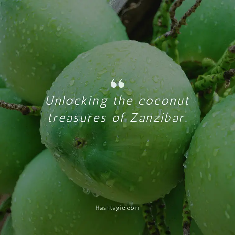 Coconut themed travel destinations captions  example image