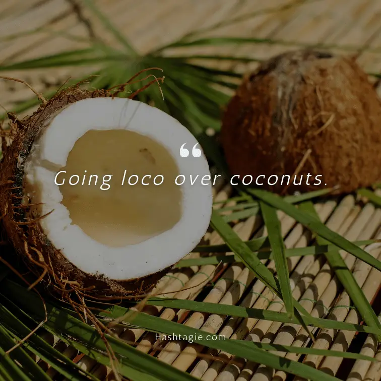 Coconut themed vacation captions example image