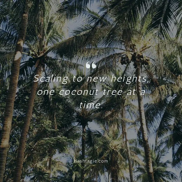 Coconut tree climbing adventure captions example image