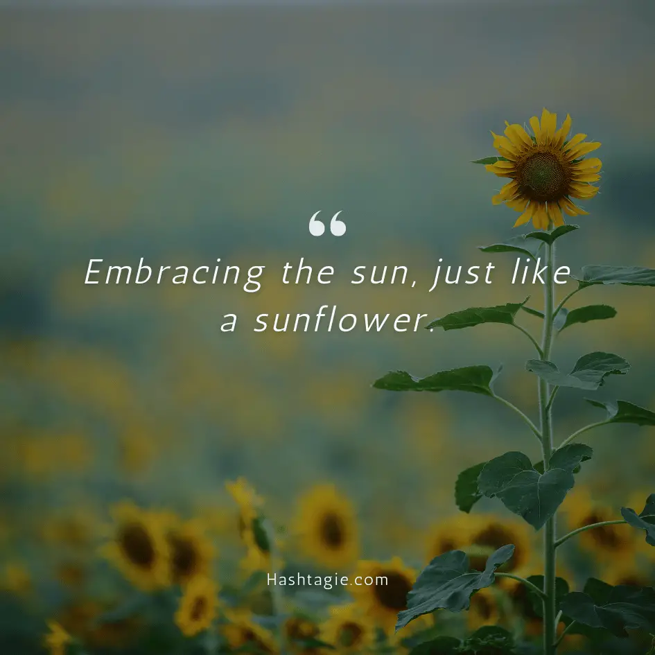 Cute sunflower captions example image