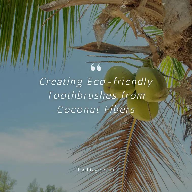 Eco-friendly uses of coconut captions example image