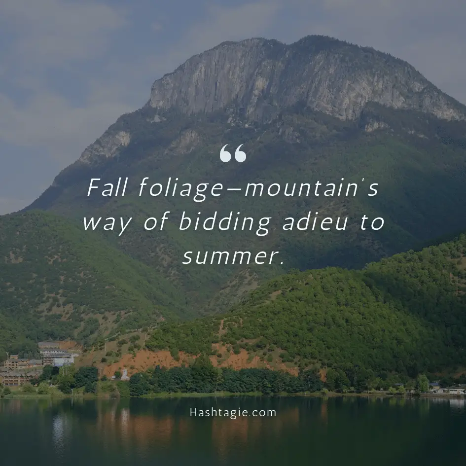 Fall foliage on mountain captions example image