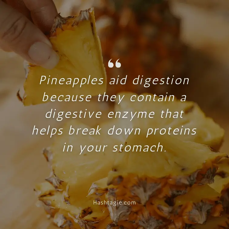Fun pineapple fact captions example image