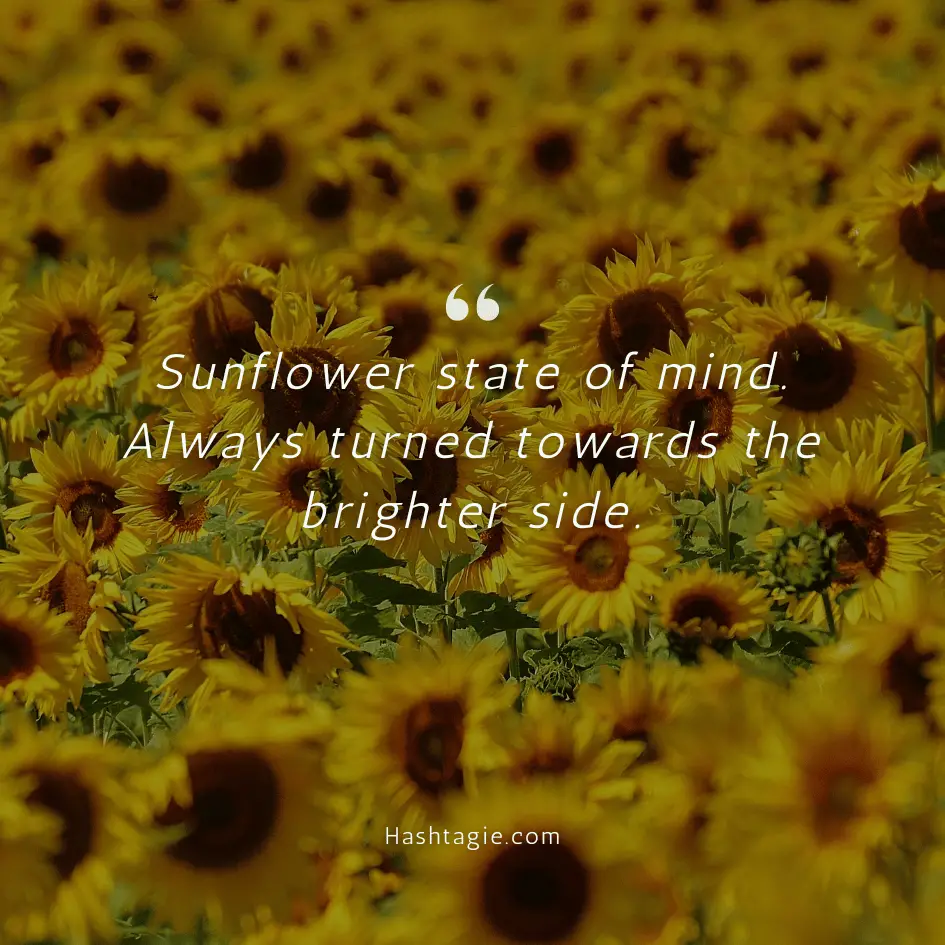 Funny sunflower captions example image