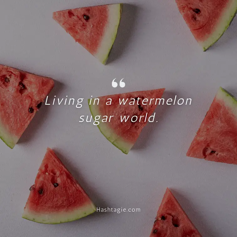 Funny Watermelon Instagram Captions example image