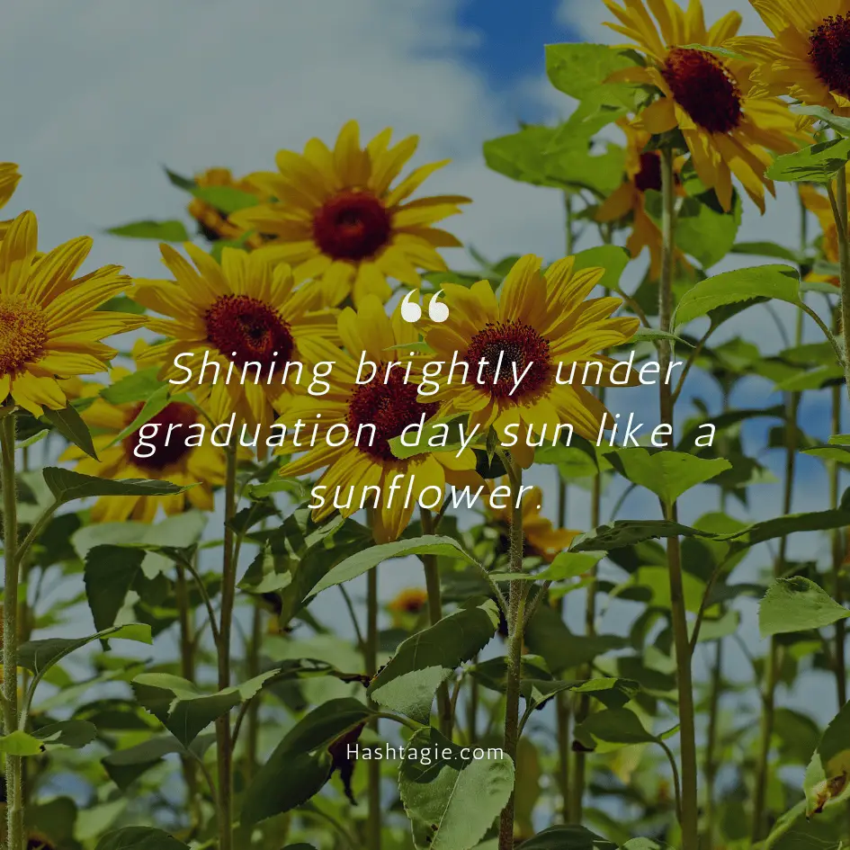 Graduation sunflower captions example image