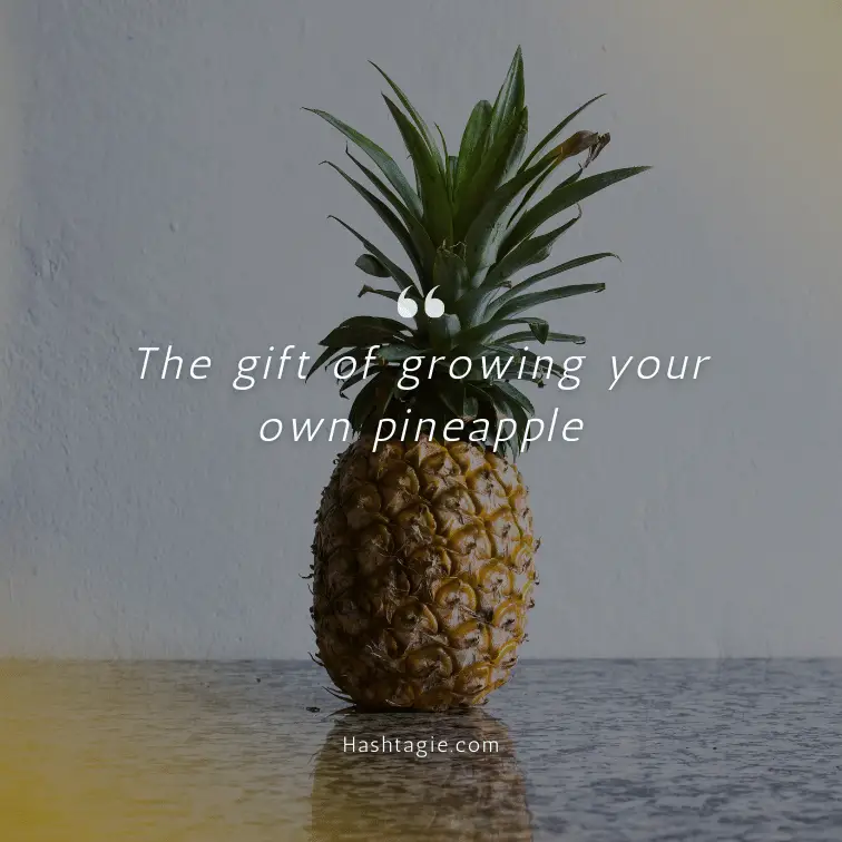 Grow your own pineapple captions example image