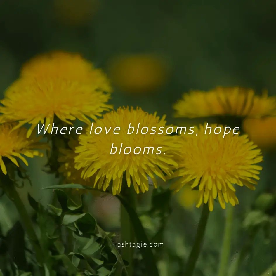 Hope captions for new love example image