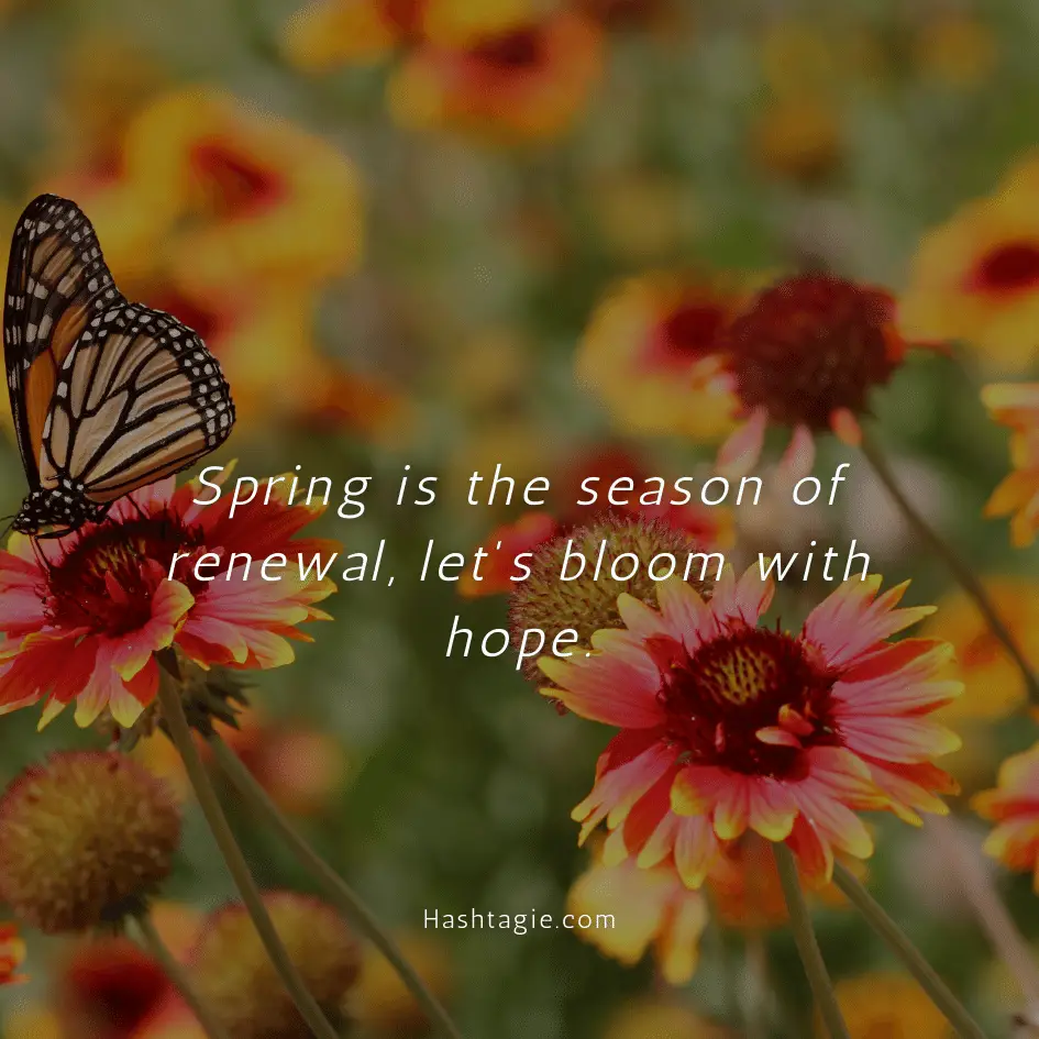 Hope captions for spring example image