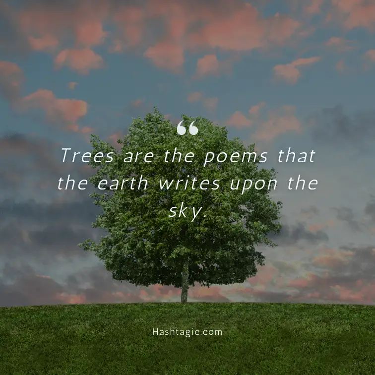 Inspiring Instagram captions about trees example image