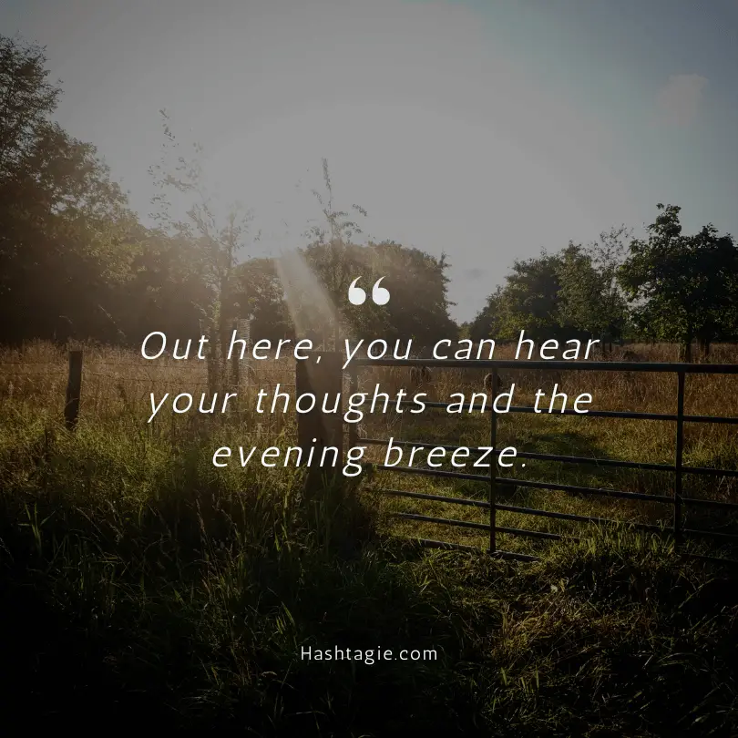 Instagram captions about countryside living example image