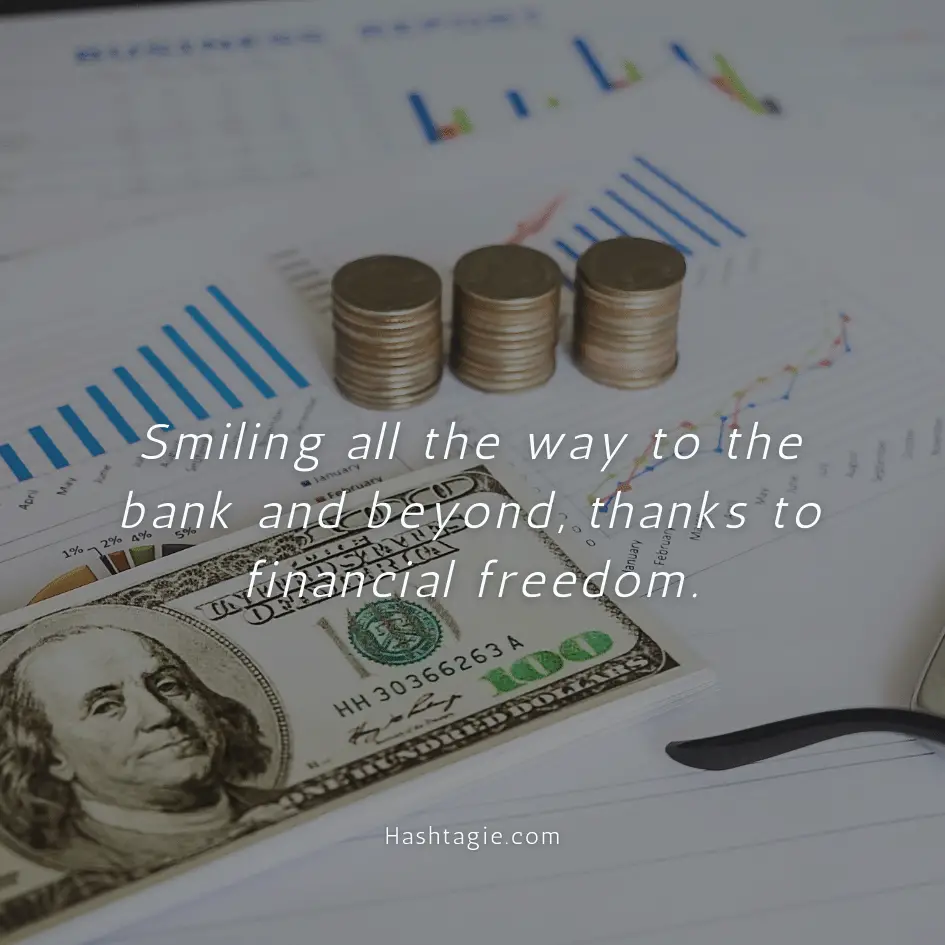 Instagram Captions Celebrating Financial Freedom example image