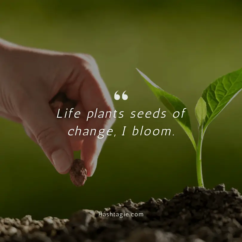Instagram captions for life changes example image