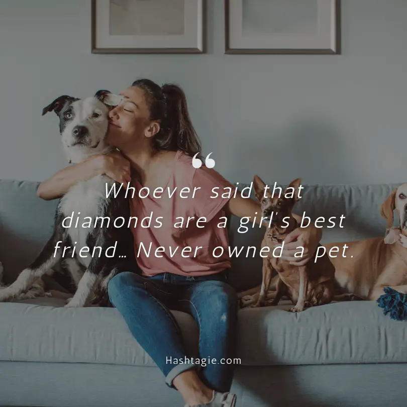 Instagram captions for posts with pets example image