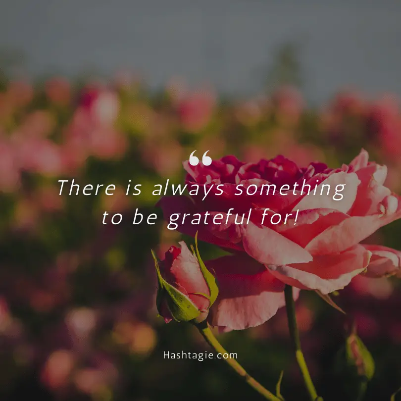 Instagram captions for wholesome moments example image