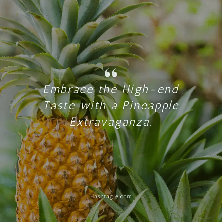 Luxury pineapple dish captions example image