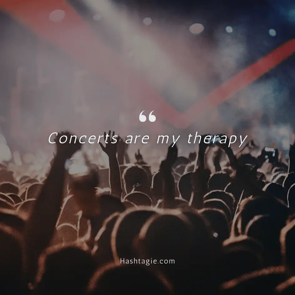 Music and concert captions example image