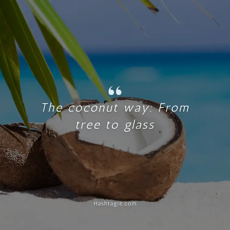 Picking fresh coconuts captions example image