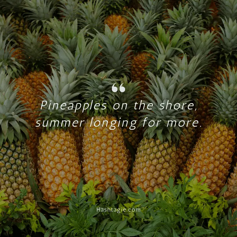 Pineapple beach day captions example image