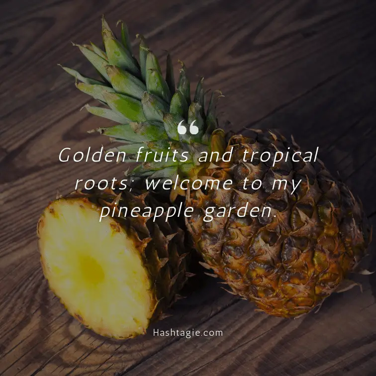 Pineapple garden captions example image