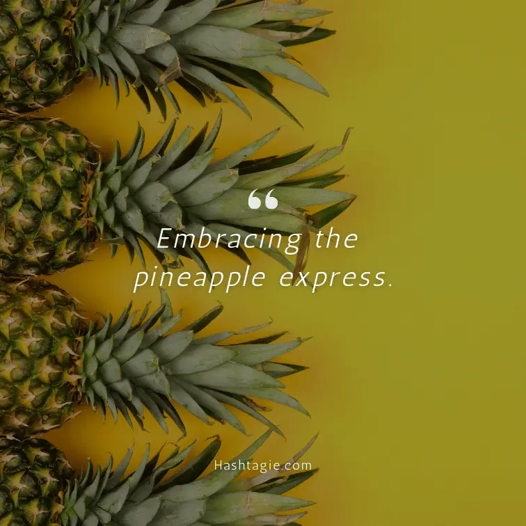 Pineapple-themed party captions example image