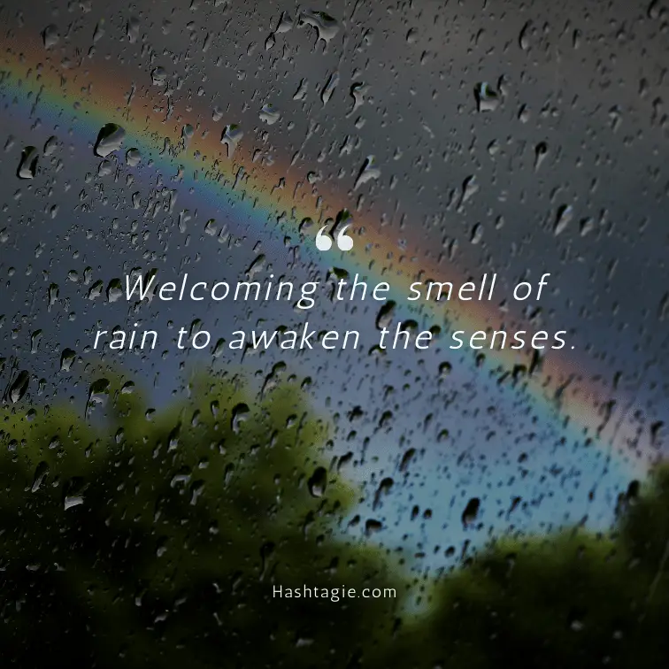 Rain Instagram captions for nature lovers example image