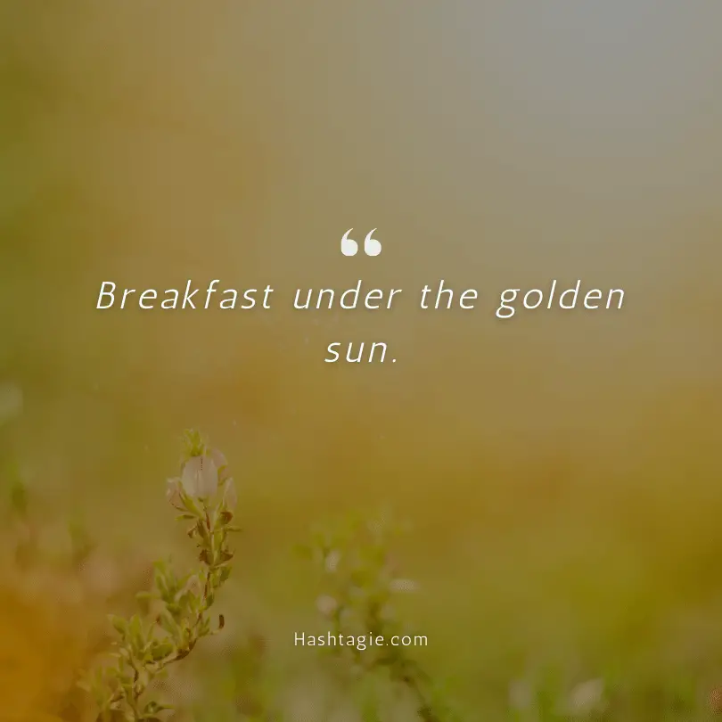 Sun-themed captions for breakfast photos example image