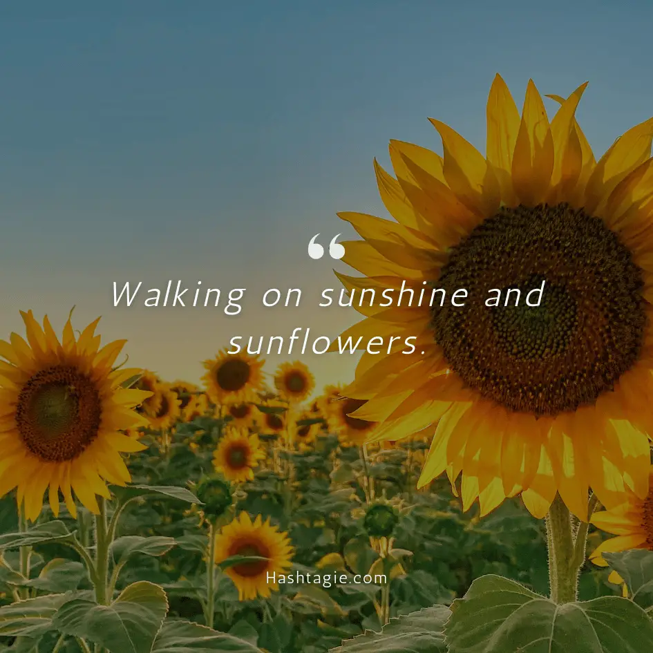 Sunflower captions for beach photos. example image